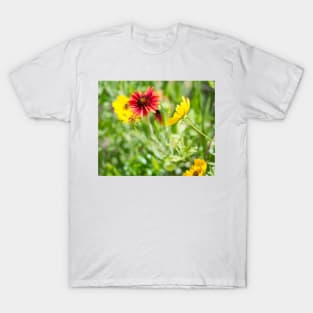 Colorful Spring Wildflowers Indian Blanket and Coreopsis T-Shirt